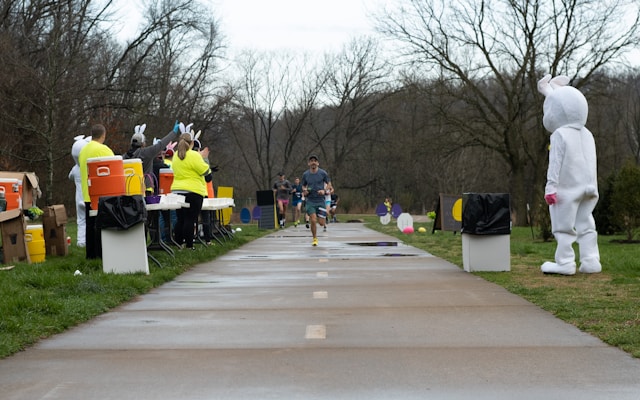 Kontakt z zespołem Elquarnatrix